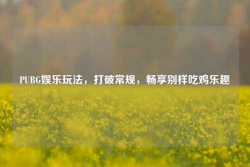 PUBG娱乐玩法，打破常规，畅享别样吃鸡乐趣