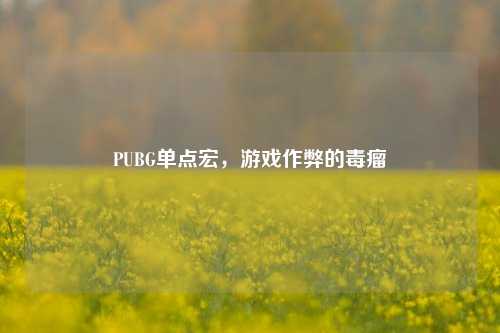 PUBG单点宏，游戏作弊的毒瘤