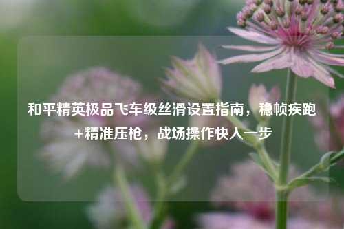 和平精英极品飞车级丝滑设置指南,稳帧疾跑+精准压枪,战场操作快人一步