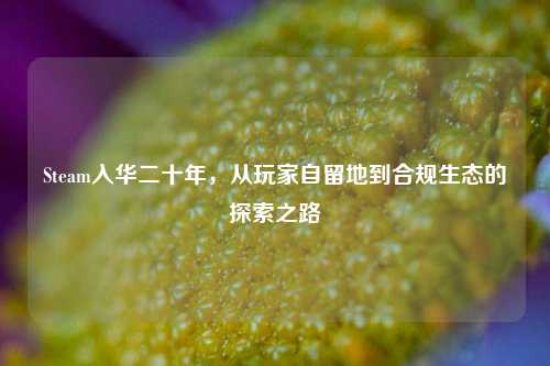 Steam入华二十年，从玩家自留地到合规生态的探索之路
