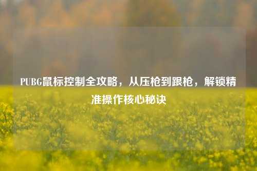 PUBG鼠标控制全攻略，从压枪到跟枪，解锁精准操作核心秘诀