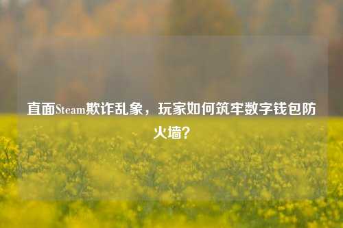 直面Steam欺诈乱象，玩家如何筑牢数字钱包防火墙？