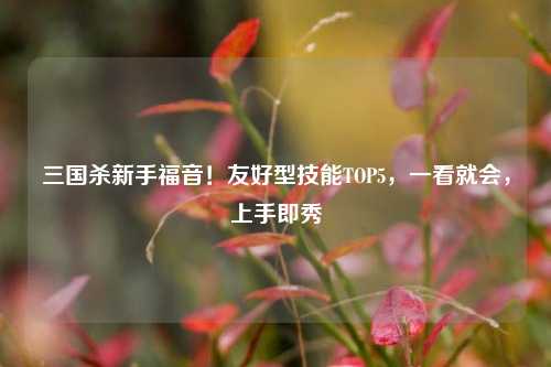 三国杀新手福音!友好型技能TOP5,一看就会,上手即秀