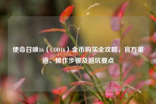 使命召唤16（COD16）金币购买全攻略，官方渠道、操作步骤及避坑要点