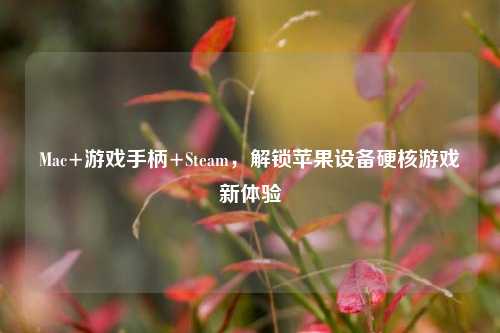 Mac+游戏手柄+Steam，解锁苹果设备硬核游戏新体验