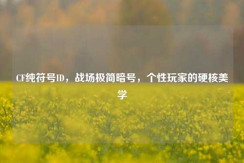 CF纯符号ID，战场极简暗号，个性玩家的硬核美学