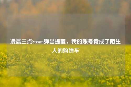 凌晨三点Steam弹出提醒，我的账号竟成了陌生人的购物车