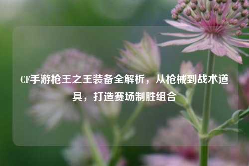 CF手游枪王之王装备全解析,从枪械到战术道具,打造赛场制胜组合