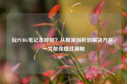 玩PUBG笔记本掉帧?从根源剖析到解决方案,一文帮你稳住满帧