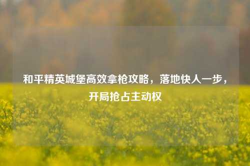 和平精英城堡高效拿枪攻略，落地快人一步，开局抢占主动权