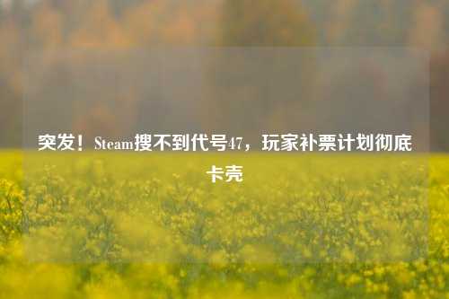 突发！Steam搜不到代号47，玩家补票计划彻底卡壳