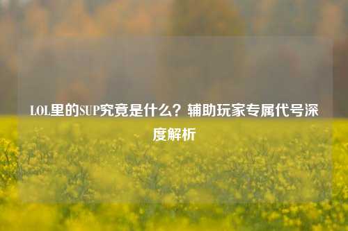 LOL里的SUP究竟是什么?辅助玩家专属代号深度解析