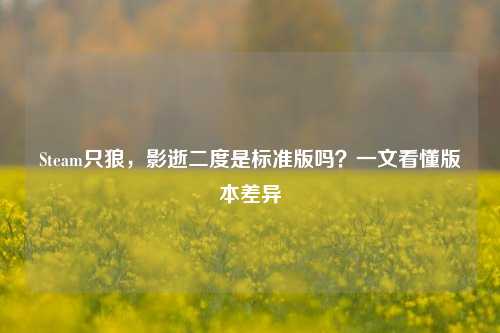 Steam只狼，影逝二度是标准版吗？一文看懂版本差异