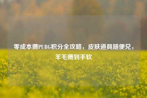 零成本薅PUBG积分全攻略，皮肤道具随便兑，羊毛薅到手软