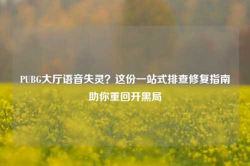 PUBG大厅语音失灵?这份一站式排查修复指南助你重回开黑局