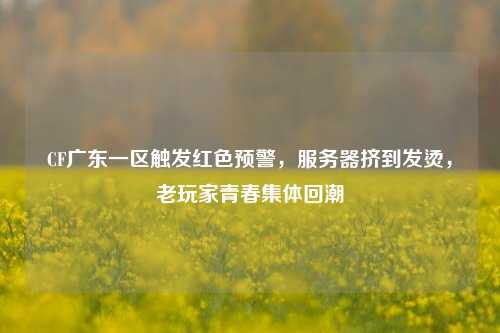 CF广东一区触发红色预警,服务器挤到发烫,老玩家青春集体回潮