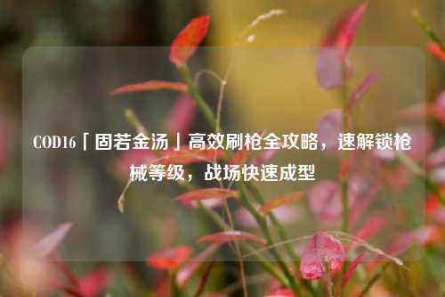 COD16「固若金汤」高效刷枪全攻略，速解锁枪械等级，战场快速成型