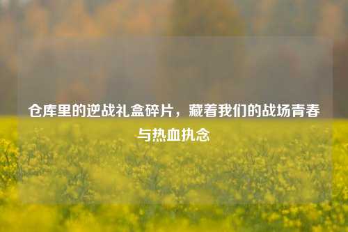 仓库里的逆战礼盒碎片，藏着我们的战场青春与热血执念