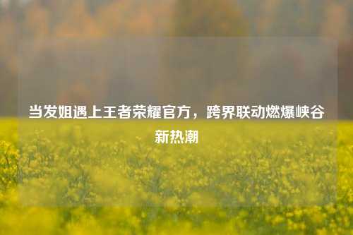 当发姐遇上王者荣耀官方，跨界联动燃爆峡谷新热潮