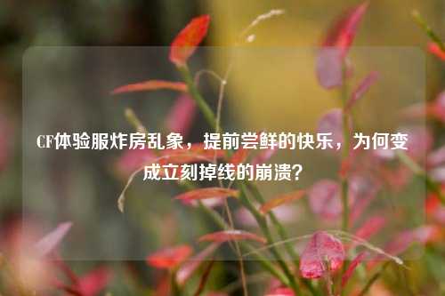 CF体验服炸房乱象，提前尝鲜的快乐，为何变成立刻掉线的崩溃？
