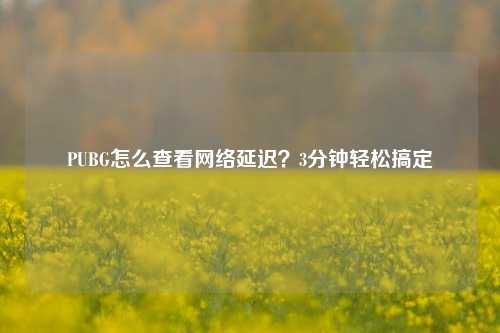PUBG怎么查看 *** 延迟？3分钟轻松搞定