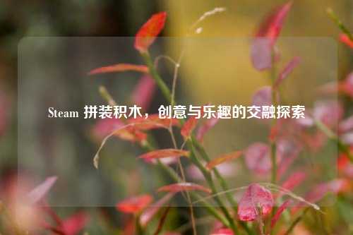 Steam 拼装积木，创意与乐趣的交融探索