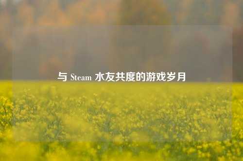 与 Steam 水友共度的游戏岁月