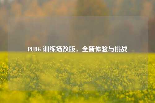 PUBG 训练场改版,全新体验与挑战