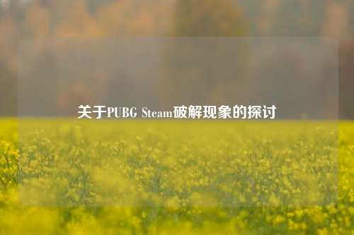 关于PUBG Steam破解现象的探讨