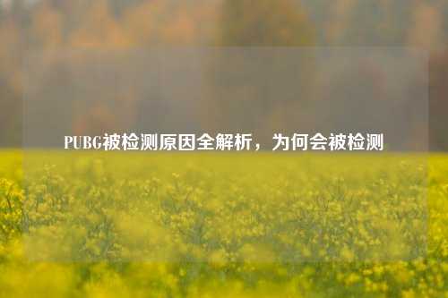 PUBG被检测原因全解析,为何会被检测