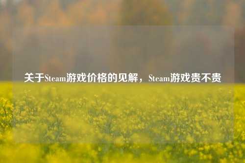 关于Steam游戏价格的见解，Steam游戏贵不贵