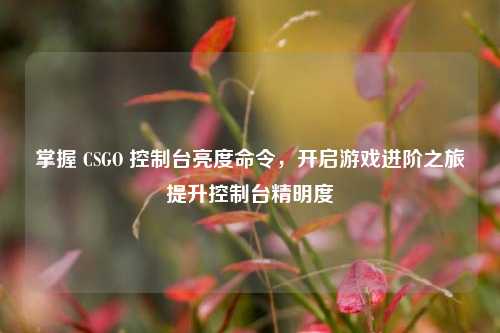 掌握 CSGO 控制台亮度命令，开启游戏进阶之旅提升控制台精明度