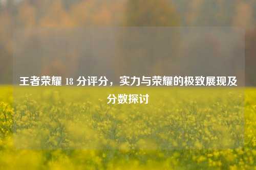 王者荣耀 18 分评分，实力与荣耀的极致展现及分数探讨