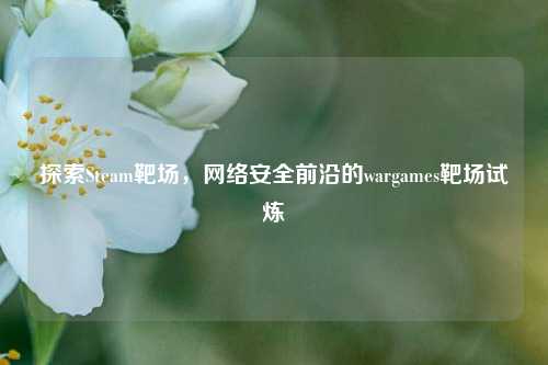 探索Steam靶场, *** 安全前沿的wargames靶场试炼