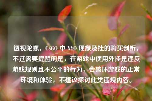 透视陀螺,CSGO 中 XYO 现象及挂的购买剖析,不过需要提醒的是,在游戏中使用外挂是违反游戏规则且不公平的行为,会破坏游戏的正常环境和体验,不建议探讨此类违规内容。