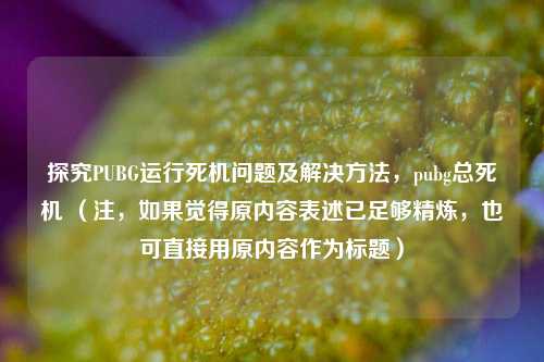 探究PUBG运行死机问题及解决 *** ,pubg总死机 (注,如果觉得原内容表述已足够精炼,也可直接用原内容作为标题)