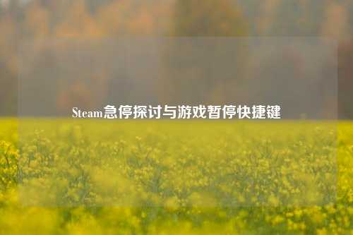 Steam急停探讨与游戏暂停快捷键