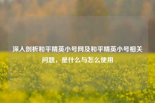 深入剖析和平精英小号网及和平精英小号相关问题,是什么与怎么使用