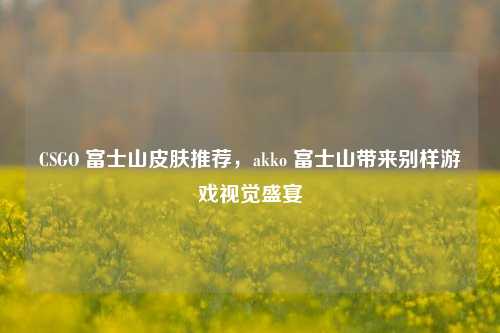 CSGO 富士山皮肤推荐,akko 富士山带来别样游戏视觉盛宴