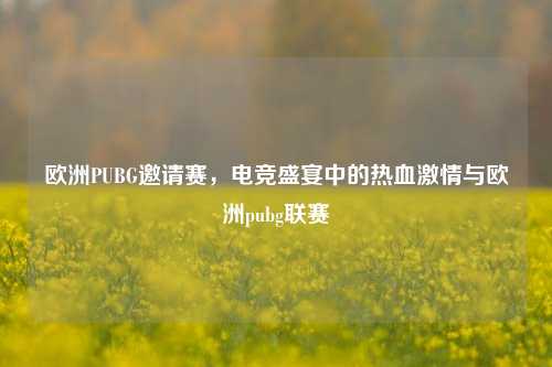 欧洲PUBG邀请赛,电竞盛宴中的热血 *** 与欧洲pubg联赛
