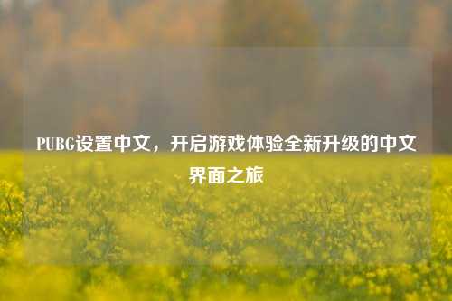 PUBG设置中文，开启游戏体验全新升级的中文界面之旅