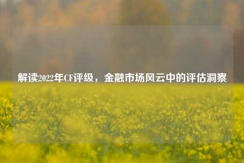 解读2022年CF评级，金融市场风云中的评估洞察