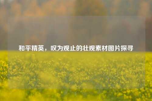 和平精英,叹为观止的壮观素材图片探寻