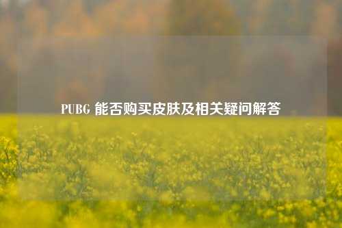PUBG 能否购买皮肤及相关疑问解答