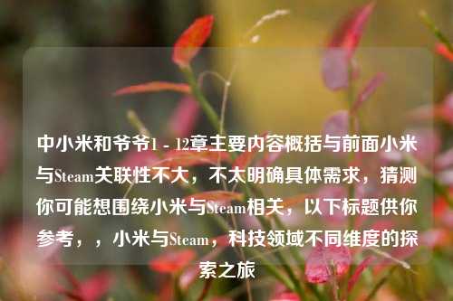 中小米和爷爷1 - 12章主要内容概括与前面小米与Steam关联性不大，不太明确具体需求，猜测你可能想围绕小米与Steam相关，以下标题供你参考，，小米与Steam，科技领域不同维度的探索之旅