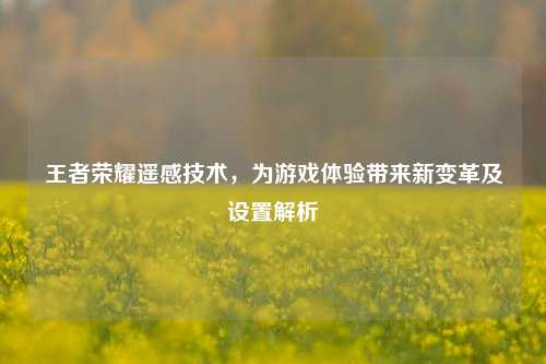 王者荣耀遥感技术，为游戏体验带来新变革及设置解析