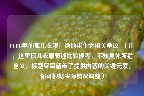 PUBG里的孤儿衣服,绝地求生之相关争议 (注,这里孤儿衣服表述比较模糊,不知具体所指含义,标题尽量涵盖了提供内容的关键元素,你可根据实际情况调整)