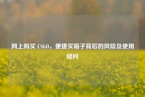 网上购买 CSGO,便捷买箱子背后的风险及使用疑问