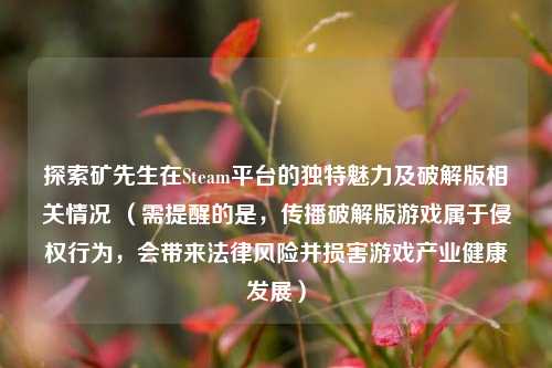 探索矿先生在Steam平台的独特魅力及破解版相关情况 (需提醒的是,传播破解版游戏属于侵权行为,会带来法律风险并损害游戏产业健康发展)
