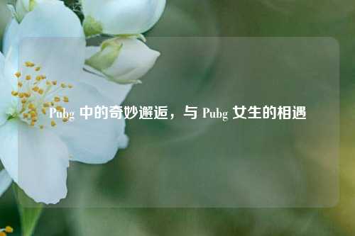 Pubg 中的奇妙邂逅，与 Pubg 女生的相遇